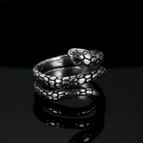 The Coil — 3/4 Angle