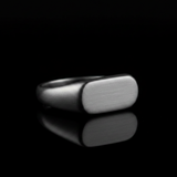 The Signet Brushed Steel — Side On