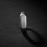 The Signet Brushed Steel — Top Down